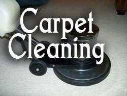 carpet rug cleaners in Bellaire TX